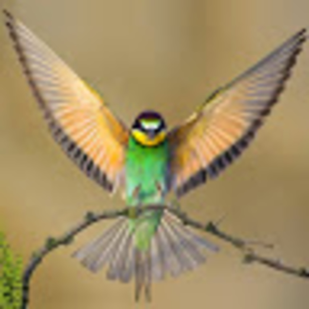 Meet your Posher, Jennifer